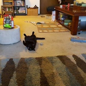 Meet your Posher, Valerie